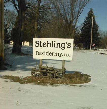 stehlings Fleshingmachines