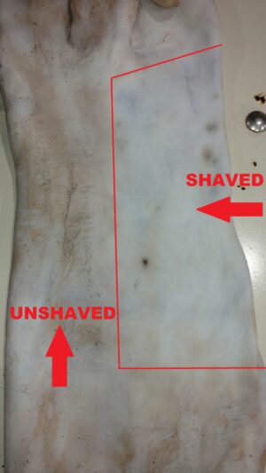 Whitetail Cape Shaving 101