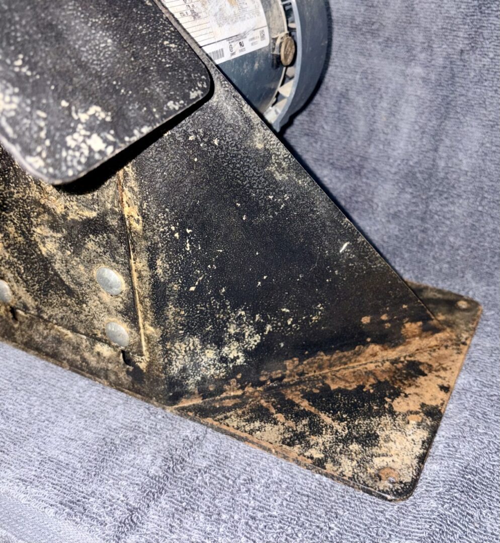 Used Dakota Bird Flesher